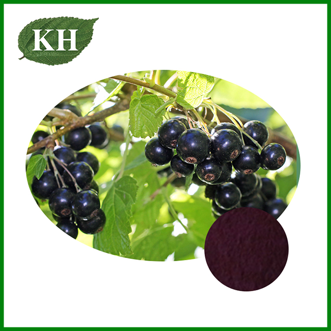 Black Cherry Juice Powder